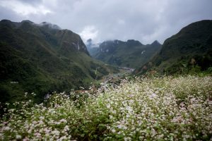 Best Time to Visit Ha Giang Loop: A Complete Seasonal Travel Guide (Weather, Road Conditions & Safety) 02
