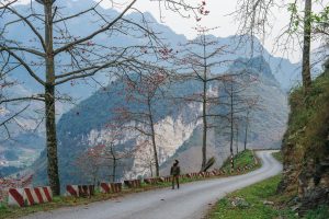 Best Time to Visit Ha Giang Loop: A Complete Seasonal Travel Guide (Weather, Road Conditions & Safety)