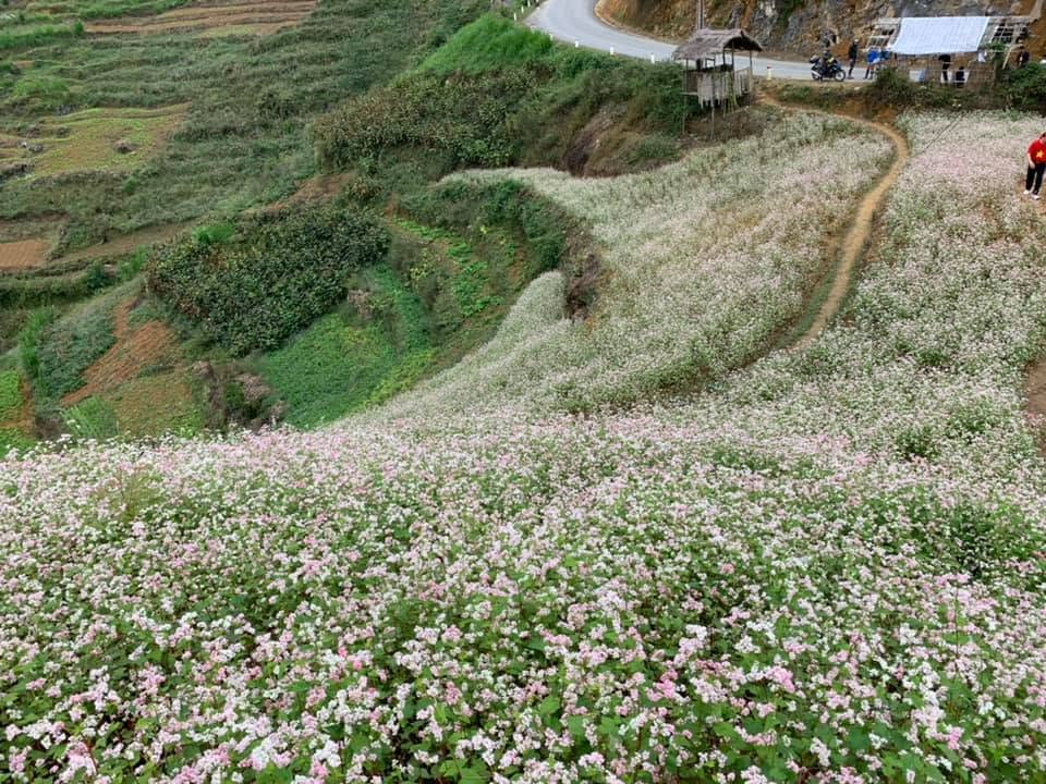 Is Ha Giang Loop Safe In 2026