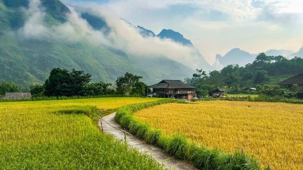 Ha Giang Loop Tour 3 Days 2 Nights