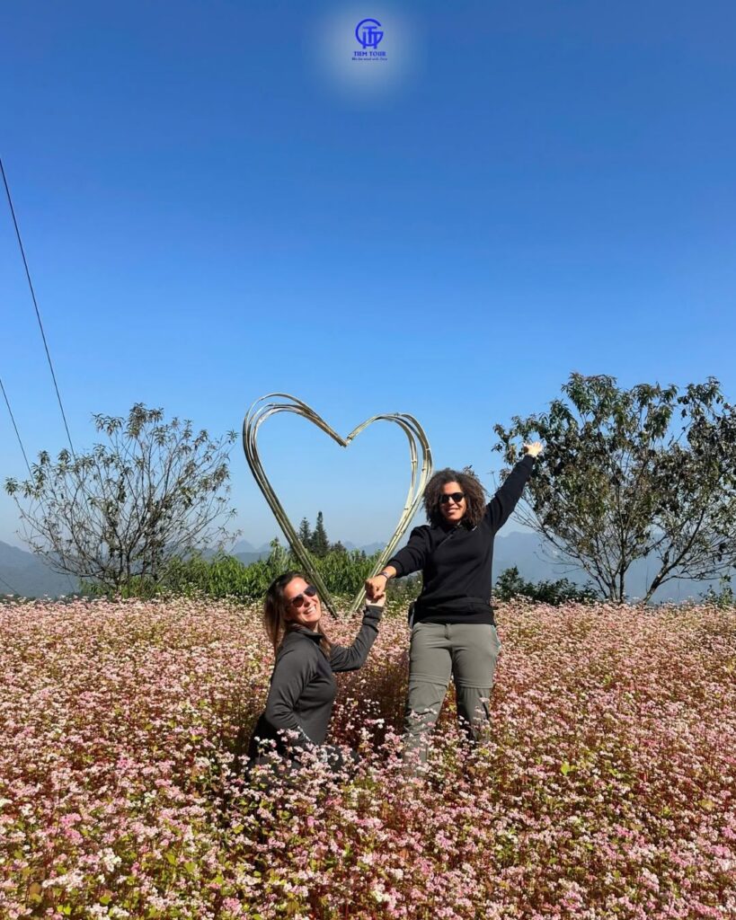 Ha Giang Loop Tour 3 Days 2 Nights