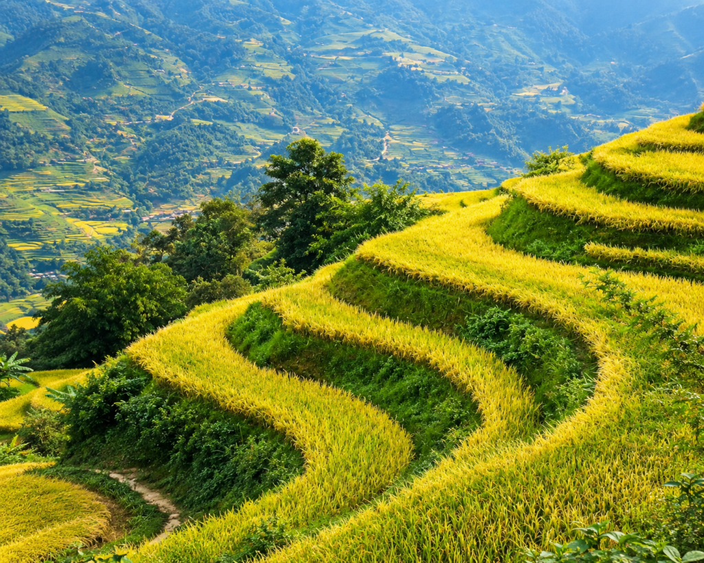 Ha Giang Loop Guide