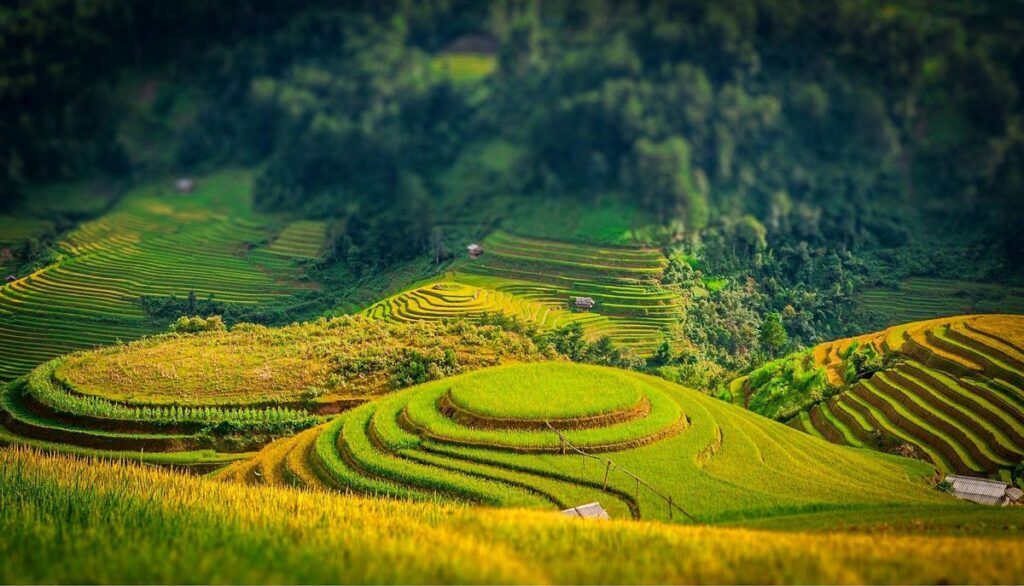 Ha Giang Loop in January